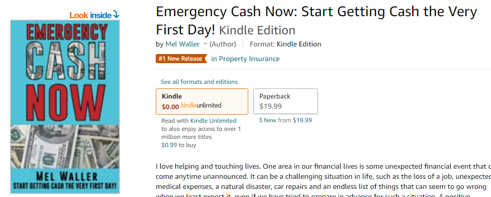 emergency cash now number one banner sales page